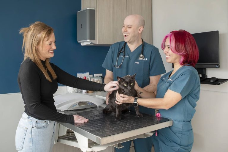 Livewell Animal Hospital of Huntersville
