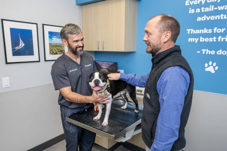 Livewell Animal Hospital of Riverview Exam