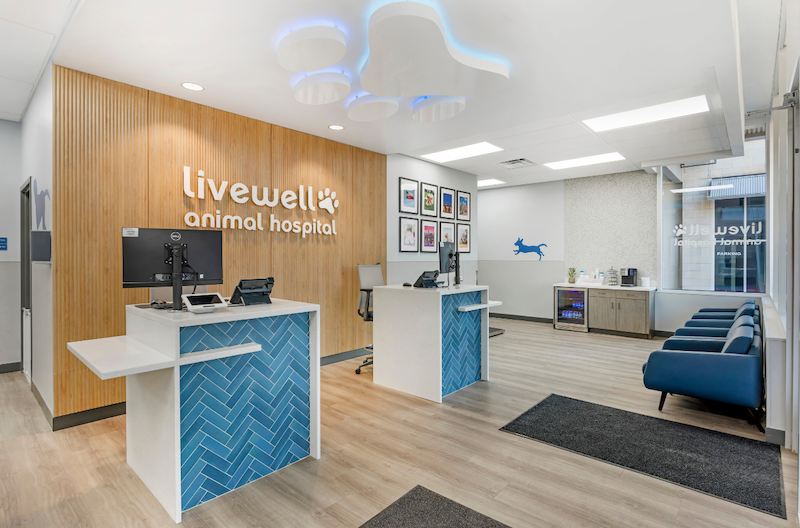 Receptionist Area