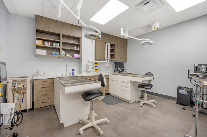 Dental Room
