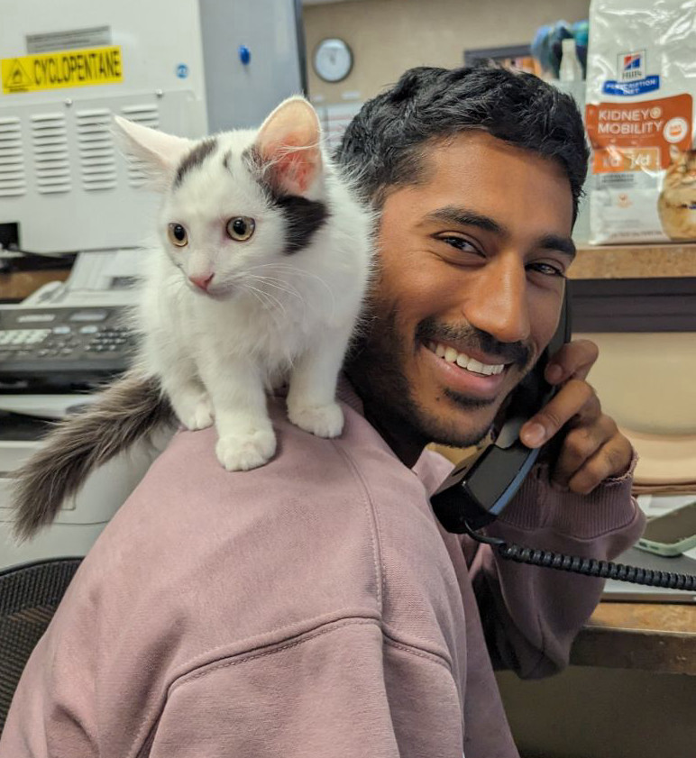 Raaj  Singh, DVM