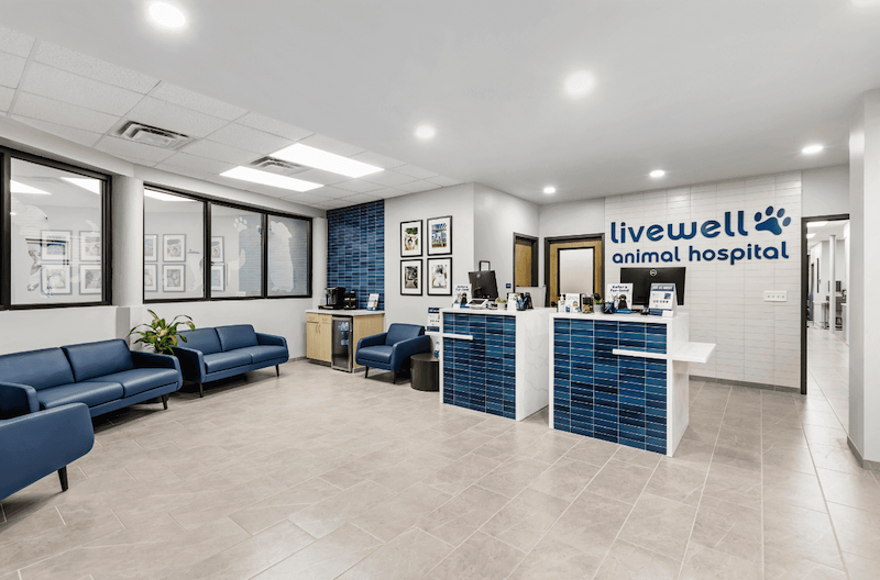 Receptionist Area