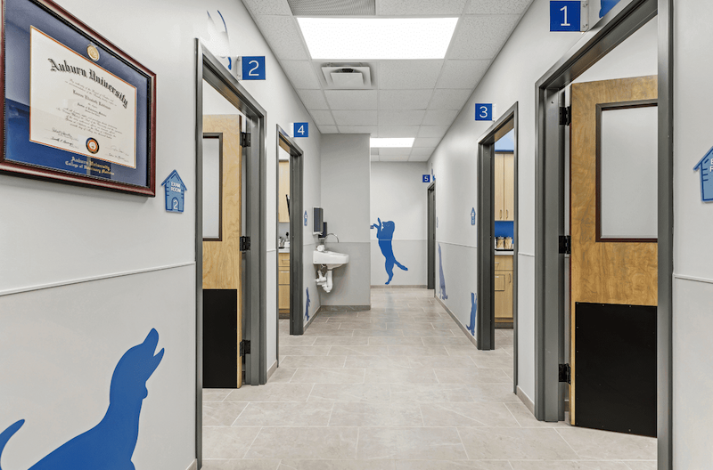 Exam Hallway