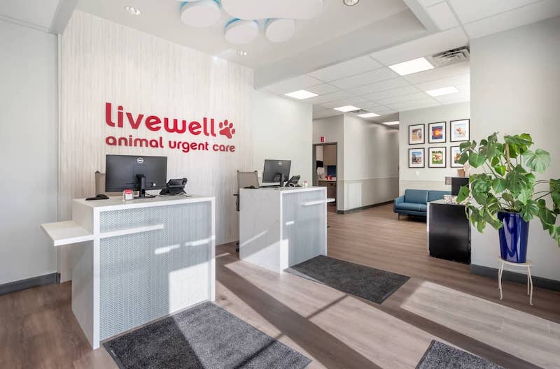 Receptionist area to the right