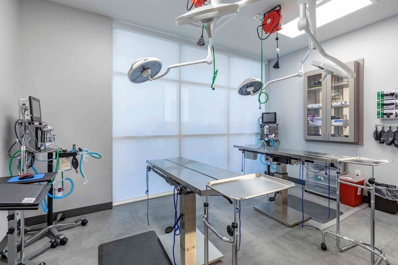 Dental suite