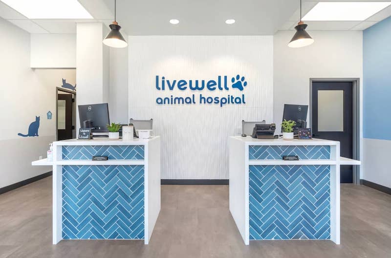 Receptionist area