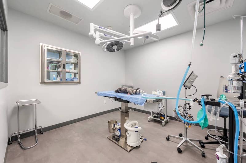 Surgery Room