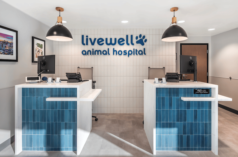 Receptionist area