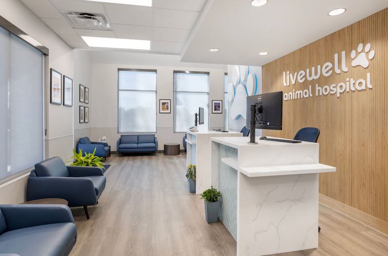 Receptionist Area from right side