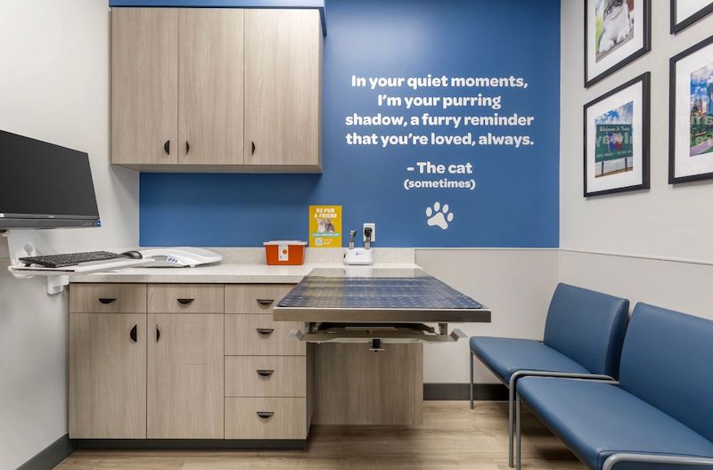 Exam Room