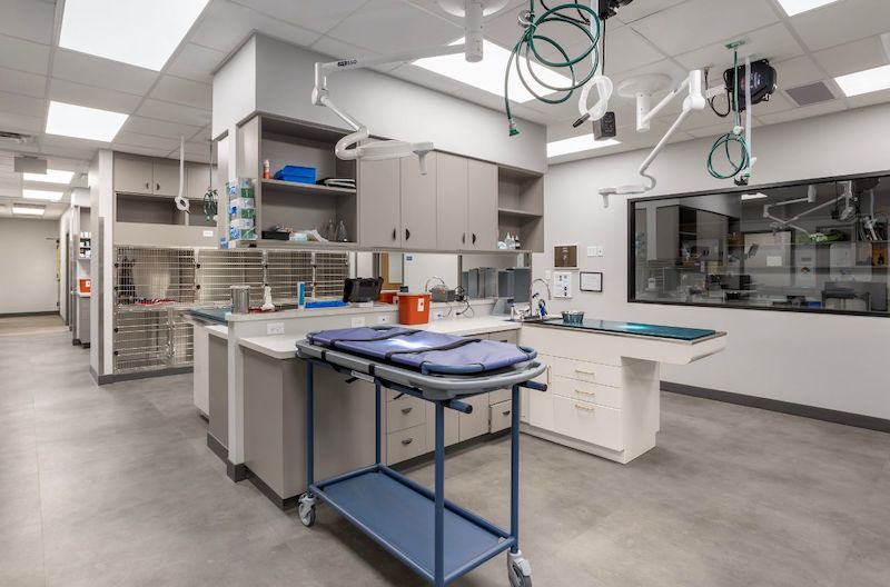 Open Exam Room