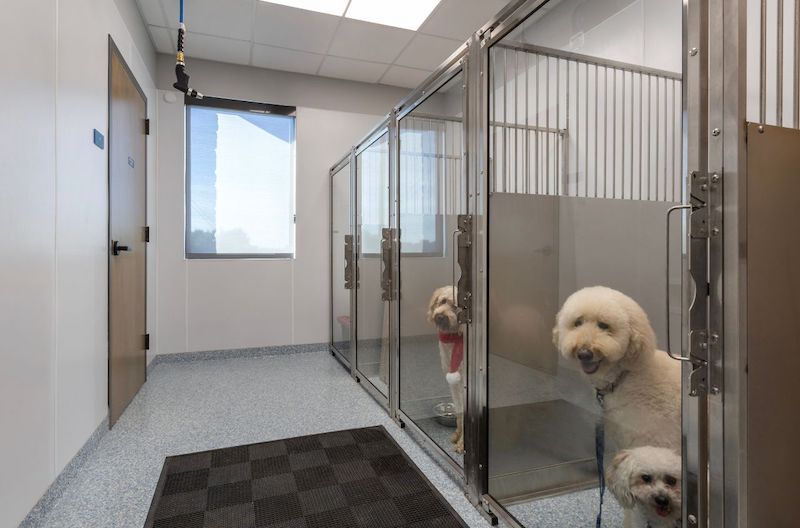 Kennels