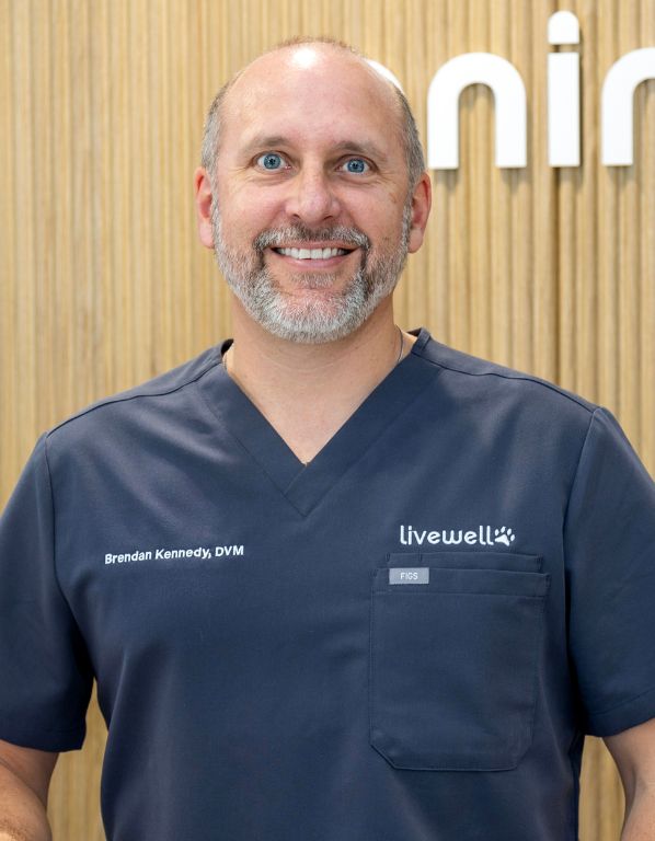 Brendan Kennedy, DVM