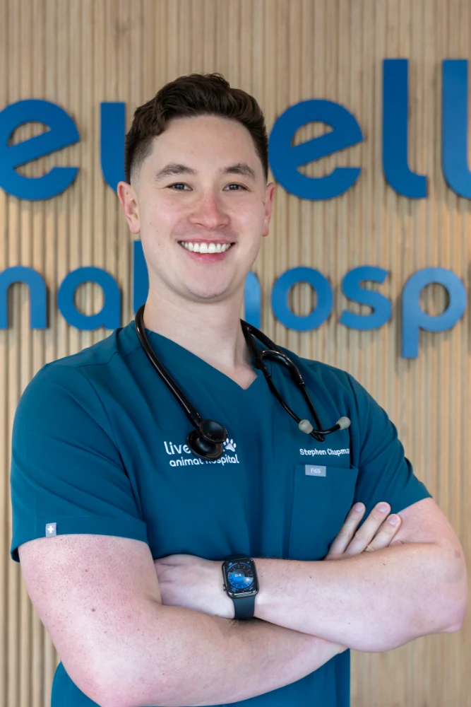 Stephen  Chapman, FDVM