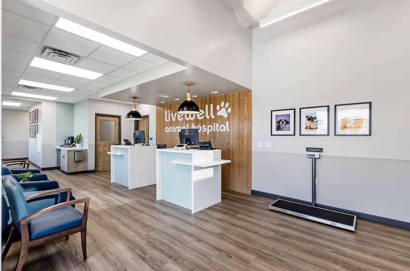 receptionist area