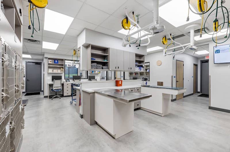 Kennel exam area