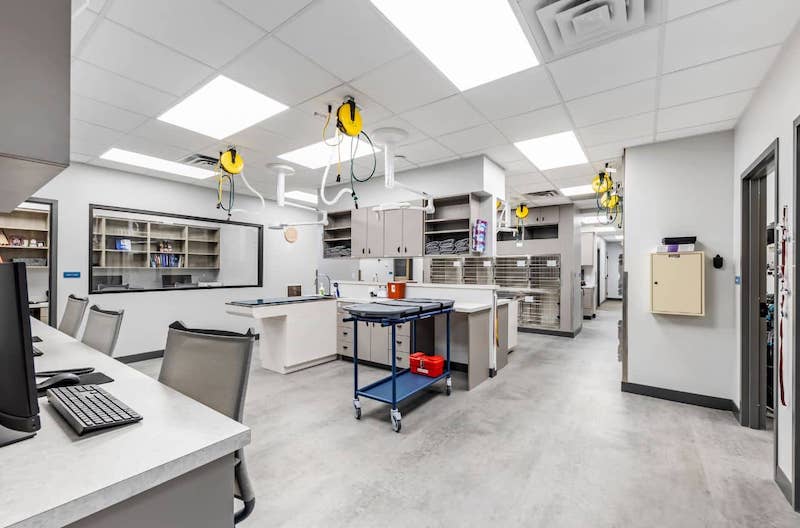 Exam Kennel
