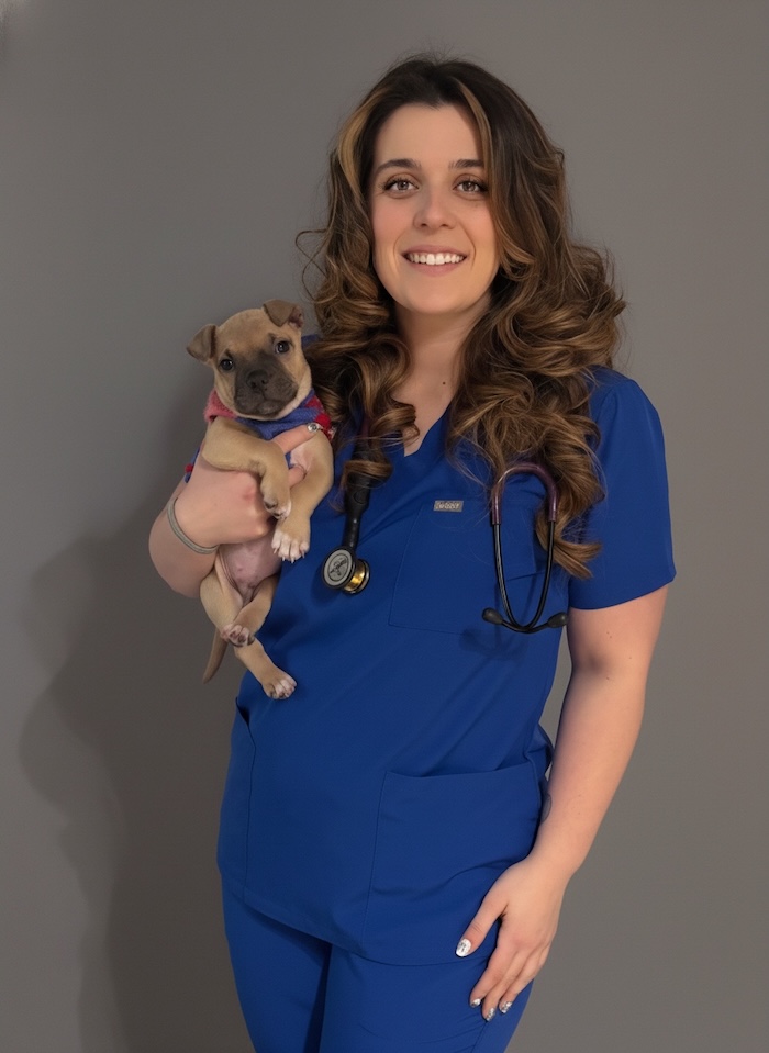 Katarina Fielding, BVMS MRCVS