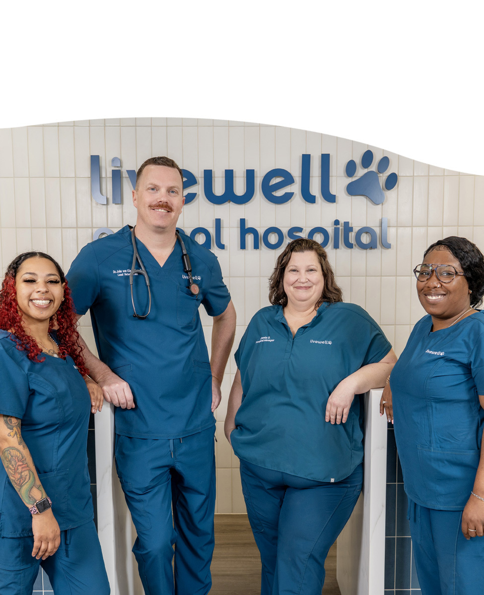 Vet hospital staff in scrubs in front of desk at hospital