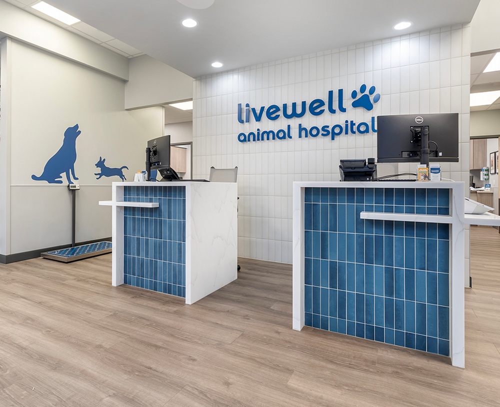 Reception of Livewell Animal Hospital of NoMa