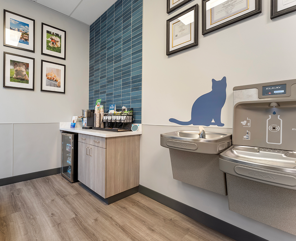 Inside exam room