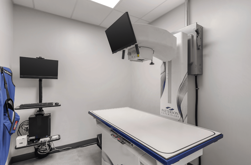 x-ray
