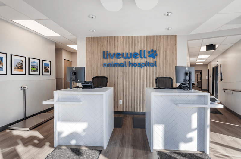 receptionist